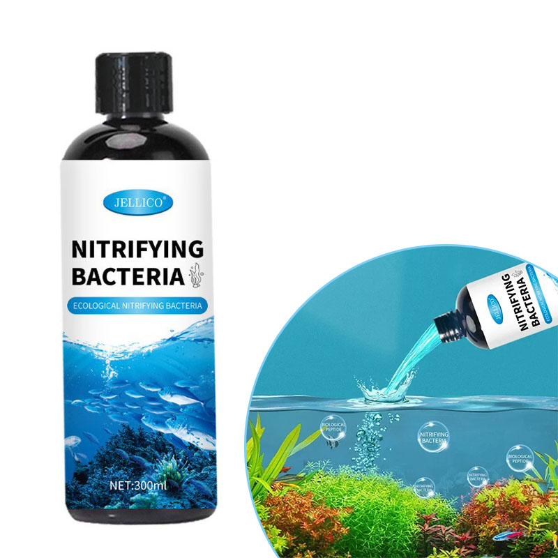 Ocean Aquarium - 硝化菌液体水槽浄水器水族館養魚医療用品金魚鉢水処理製品