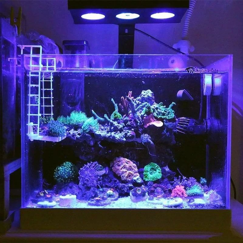 スペクトラナノ029 LED水槽ライト タイミングON-OF - Reef Lighting のレビューと価格