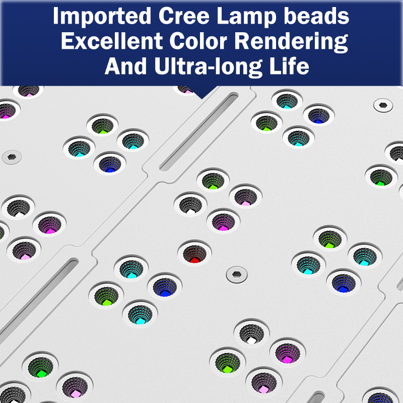 ホットKASSRAY T169/T215 CREEs LED - Reef Aquarium のレビューと価格