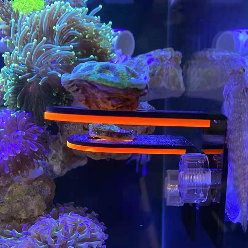 水槽用アクリル製蛍光サンゴ育成ホルダー SPSブラケットツー - Marine Coral のレビューと価格