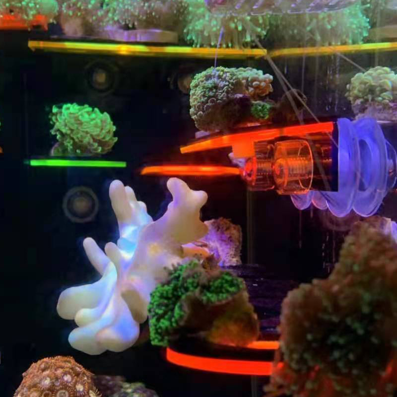 水槽用アクリル製蛍光サンゴ育成ホルダー SPSブラケットツー - Marine Coral のレビューと価格
