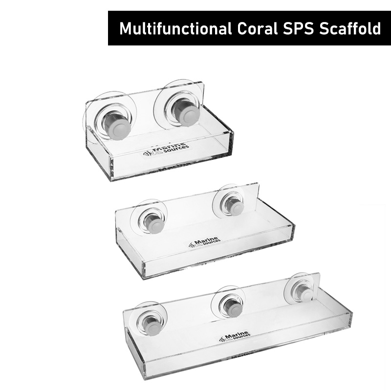 海洋源多機能コーラルSPSスキャフォールド水草用造園栽培装飾 - Marine Coral のレビューと価格