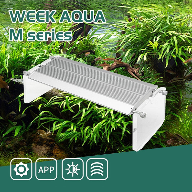 WEEK AQUA アクアリウム用LEDバイビッドライト（海 - Reef Lighting のレビューと価格