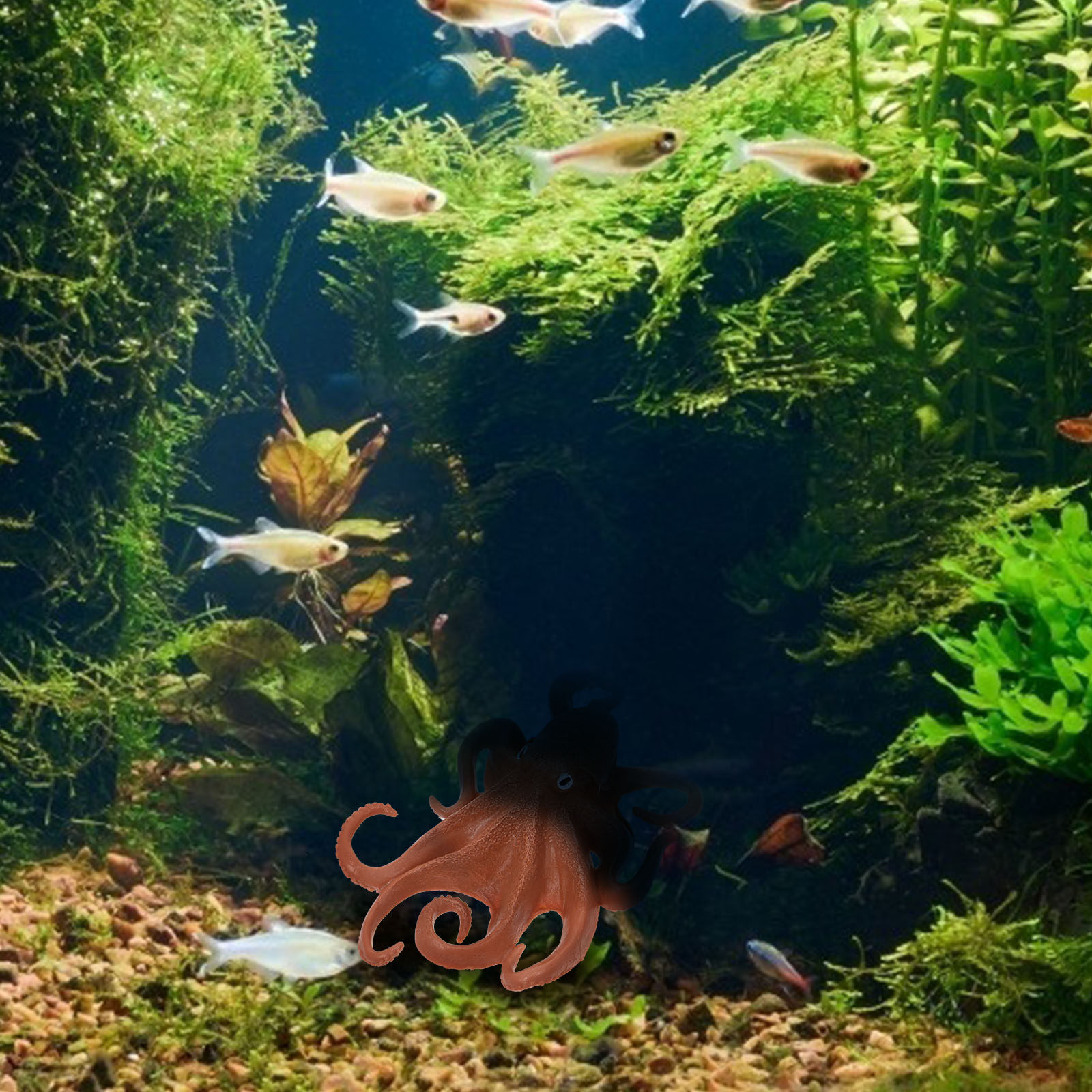 リアルなタコのフィギュア、プラスチック製の海洋生物モデル、水 - Marine Aquarium のレビューと価格