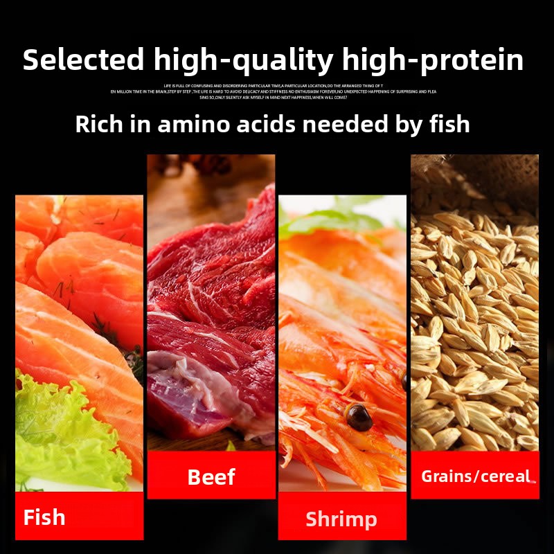 サンサン 錦鯉 観賞魚 金魚用飼料 高スピルリナ配合 色彩強 - Reef Tank Filter のレビューと価格
